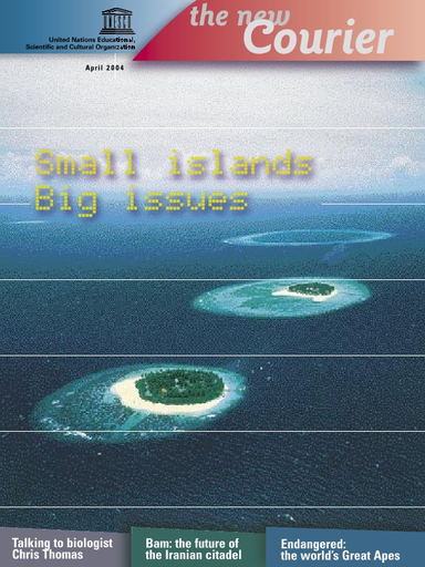 The Universal island and the island universe