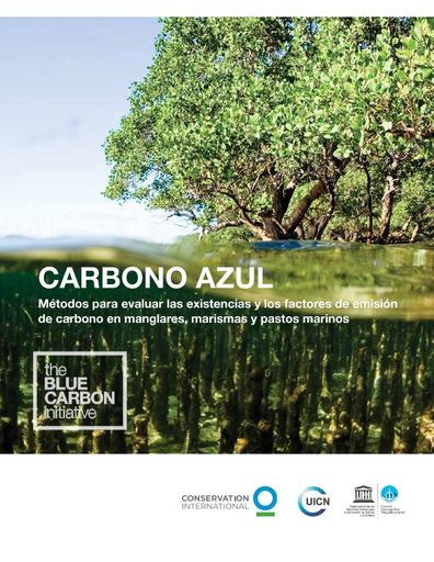 Carbon Activo 100 gr - Comprar en Aqua Bahia