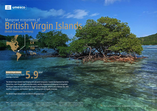 Mangrove ecosystems of British Virgin Islands (British Overseas Territory)